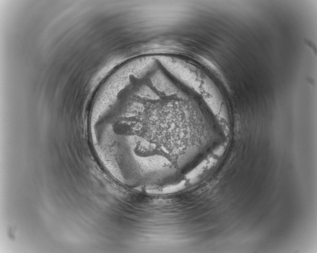 X0000101651419200807311403