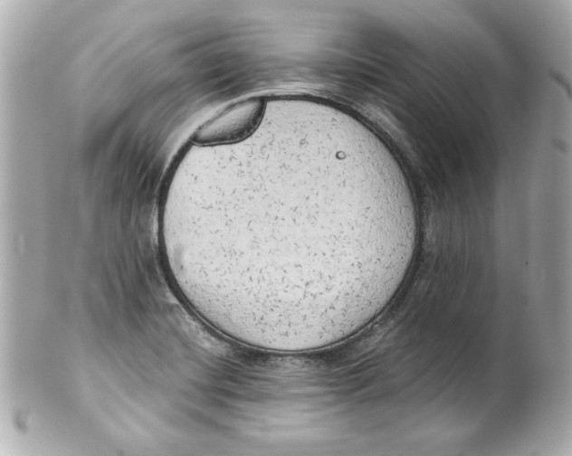 X0000101651420200807311403