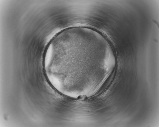 X0000101651422200807311403