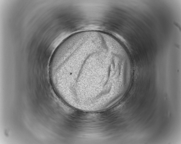 X0000101651423200807311403