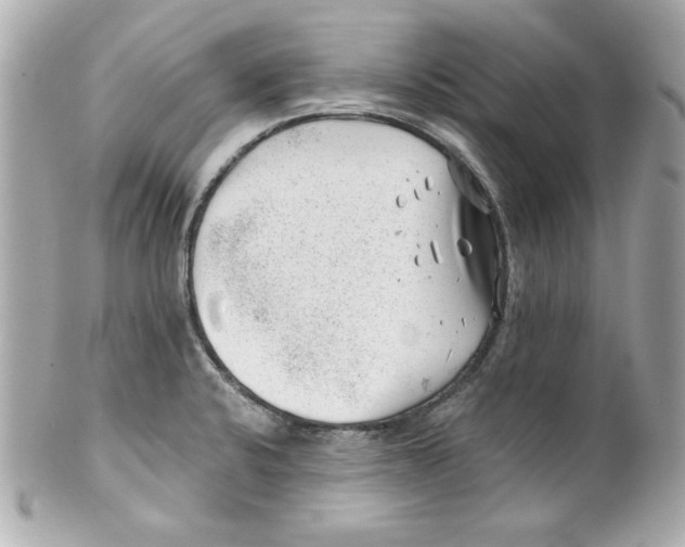 X0000101651424200807311403