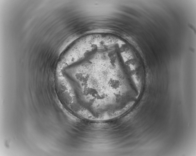 X0000101651425200807311403