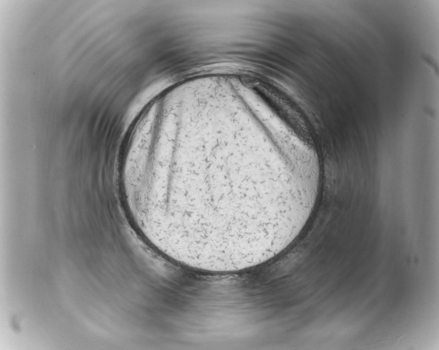 X0000101651426200807311403