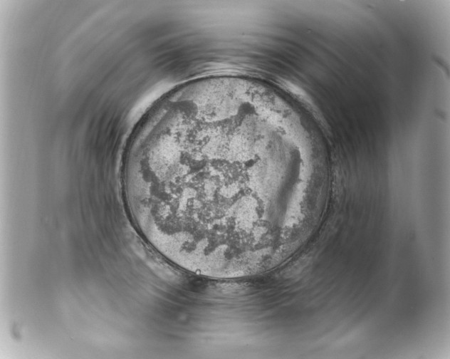 X0000101651427200807311403