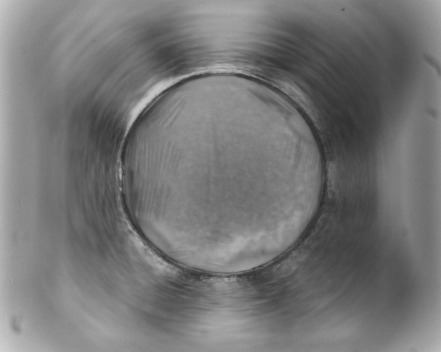 X0000101651428200807311403