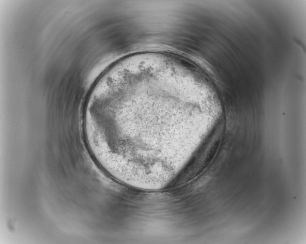 X0000101651430200807311403