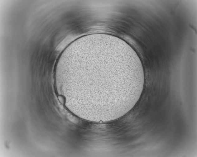 X0000101651431200807311403