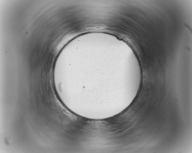 X0000101651432200807311403