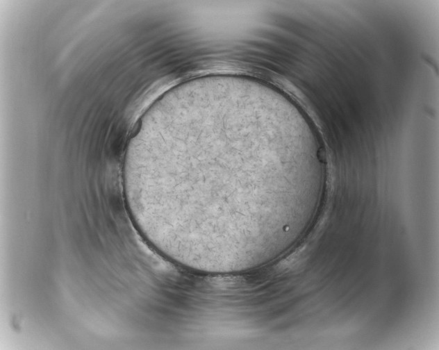 X0000101651433200807311403