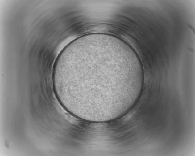 X0000101651434200807311403