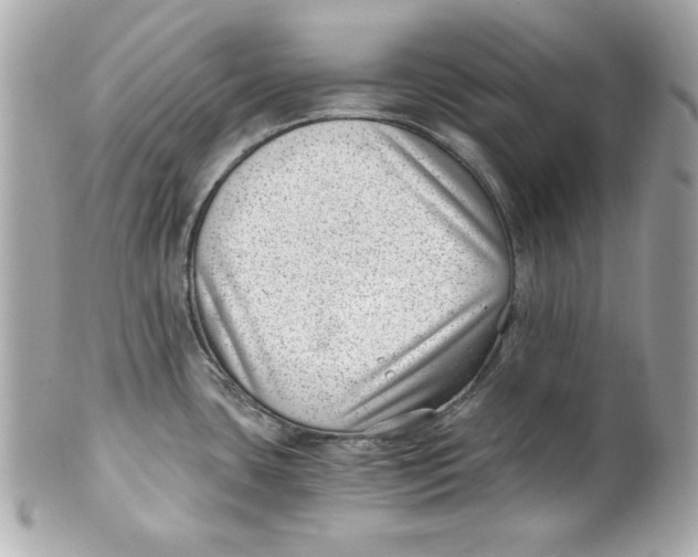 X0000101651435200807311403