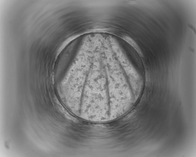 X0000101651436200807311403