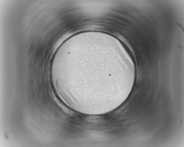 X0000101651437200807311403