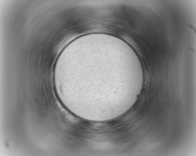X0000101651439200807311403
