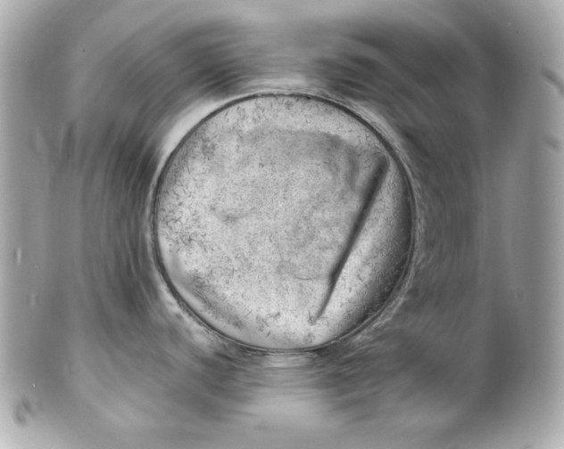 X0000101651440200807311404