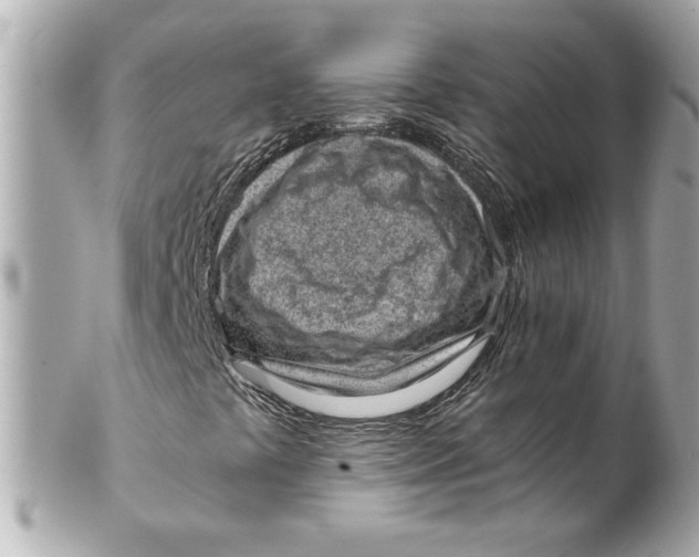 X0000101651441200807311403