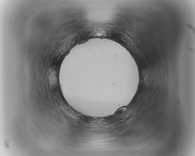 X0000101651442200807311403