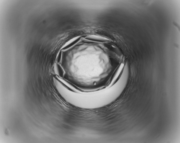 X0000101651444200807311403