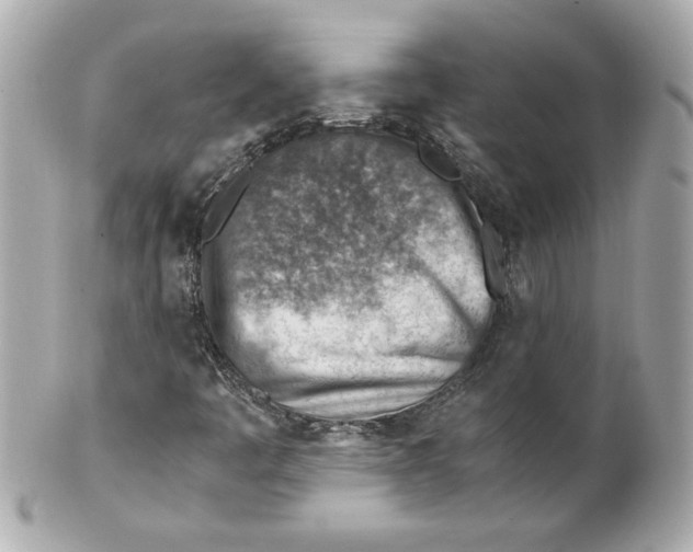 X0000101651445200807311403