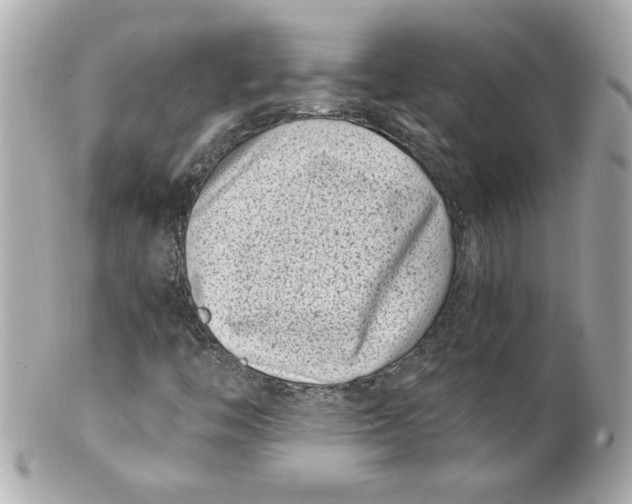 X0000101651446200807311403