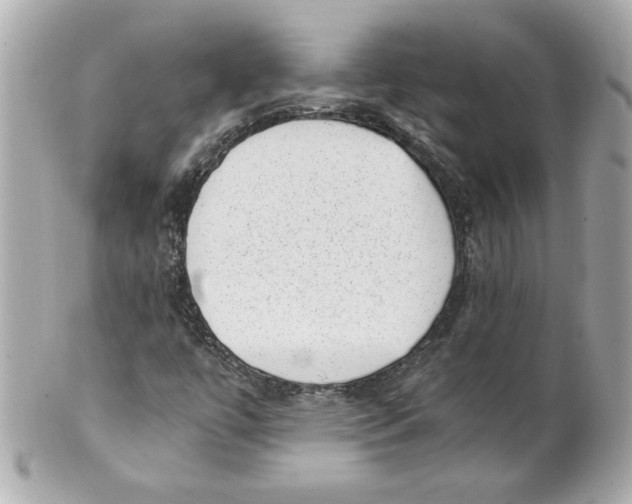 X0000101651447200807311403