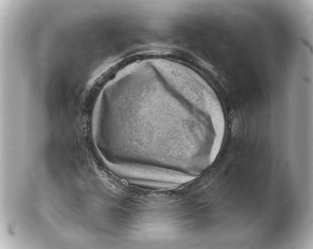 X0000101651448200807311403