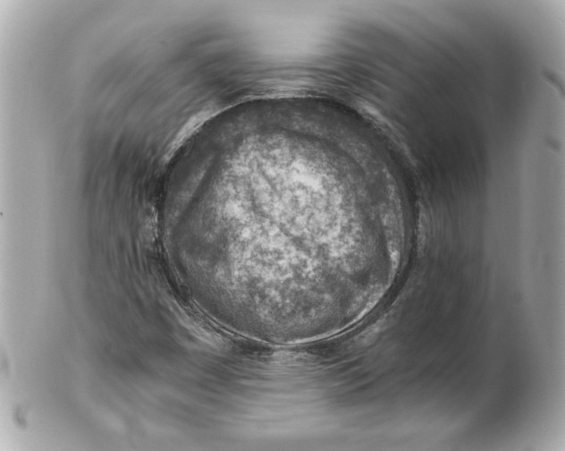 X0000101651449200807311403
