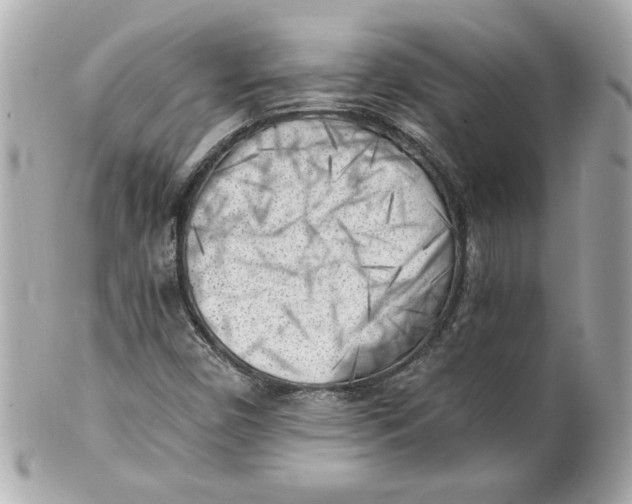 X0000101651450200807311403