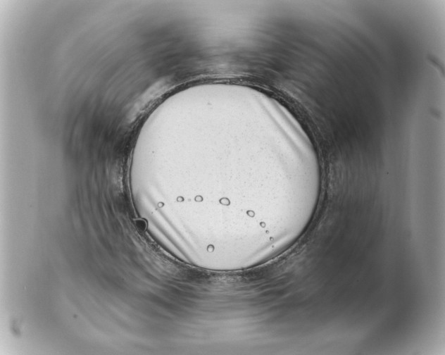 X0000101651451200807311403