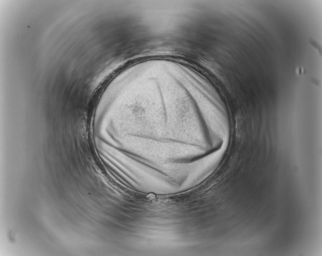 X0000101651452200807311403