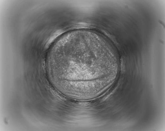 X0000101651453200807311403