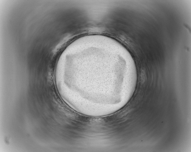 X0000101651454200807311403