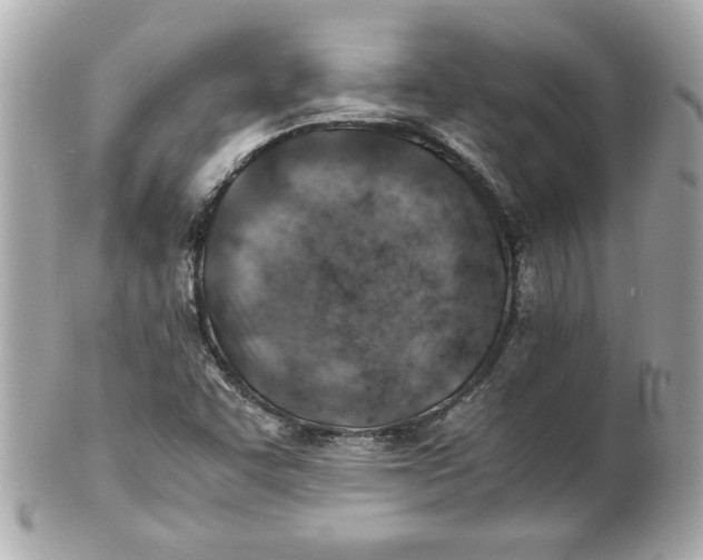 X0000101651455200807311403