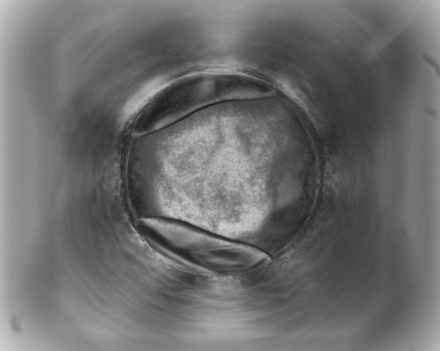 X0000101651456200807311402
