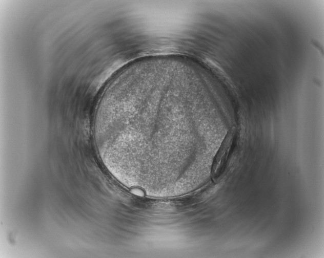 X0000101651457200807311402
