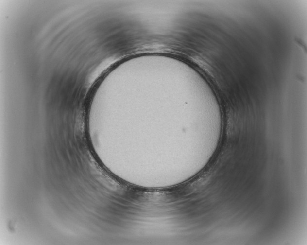 X0000101651458200807311402
