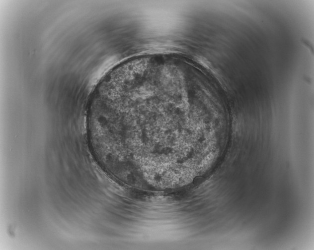 X0000101651459200807311402
