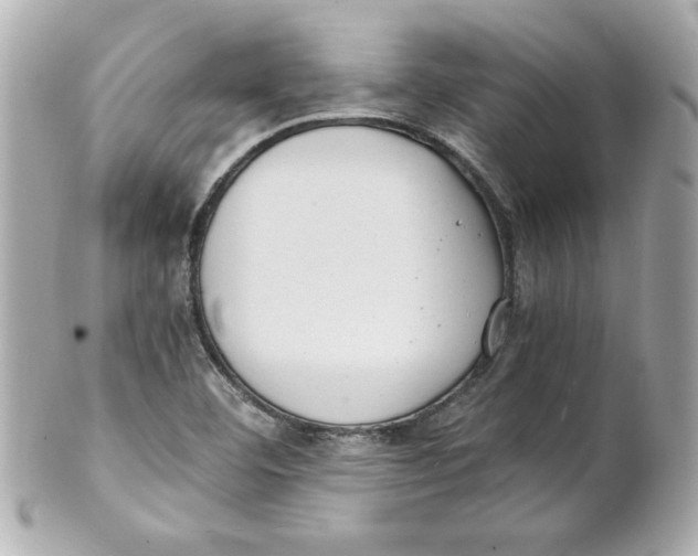 X0000101651460200807311402