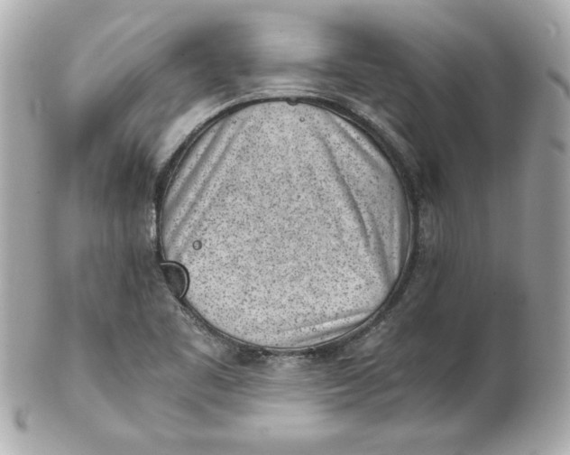 X0000101651461200807311402