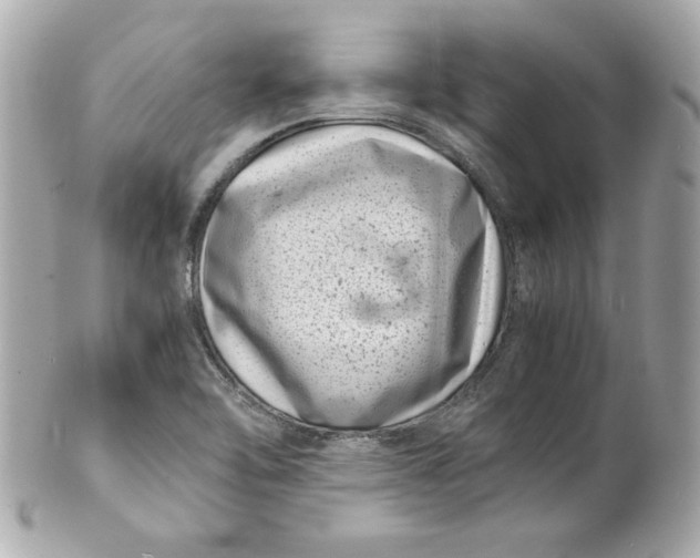 X0000101651462200807311402
