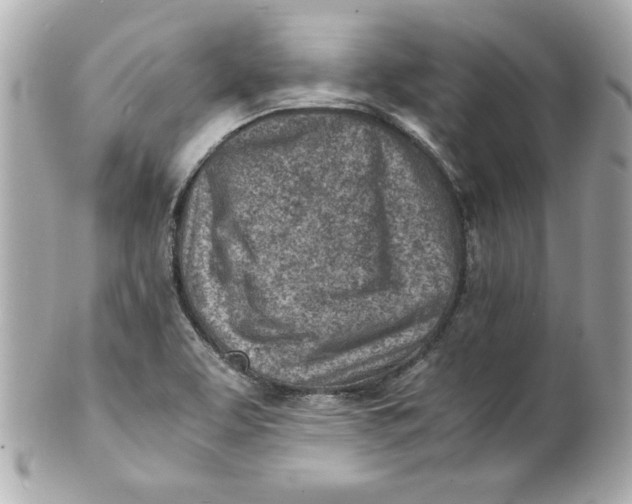 X0000101651463200807311402