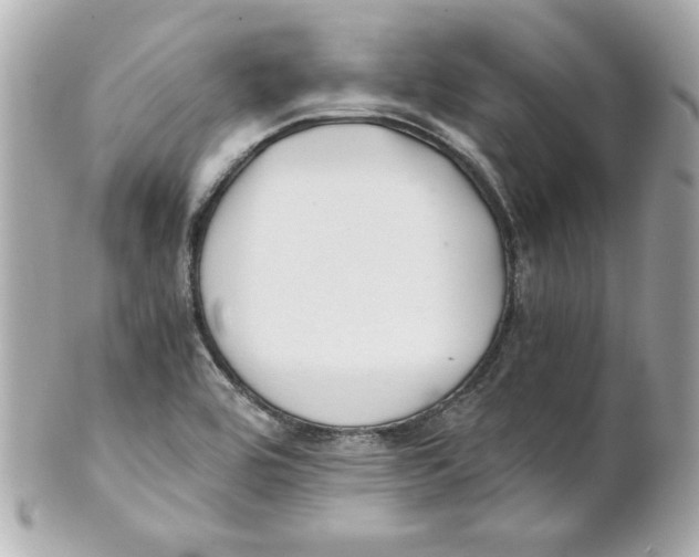 X0000101651464200807311402