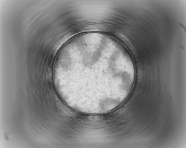 X0000101651465200807311402