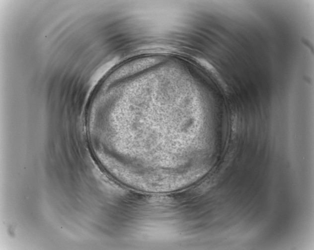 X0000101651466200807311402