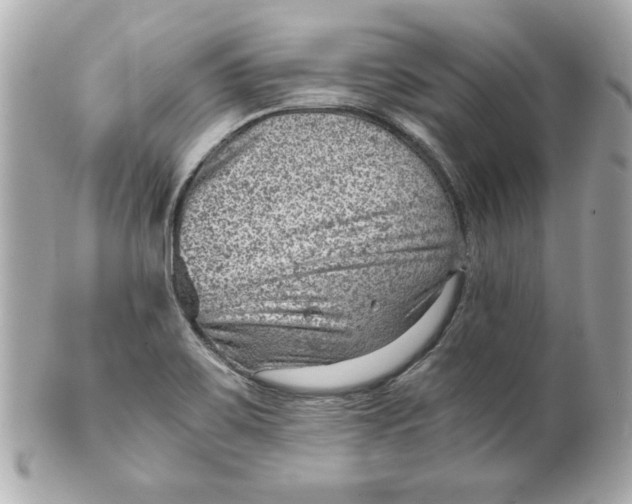 X0000101651467200807311402