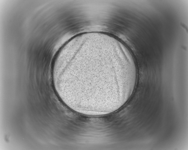 X0000101651469200807311402