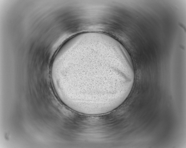X0000101651470200807311402