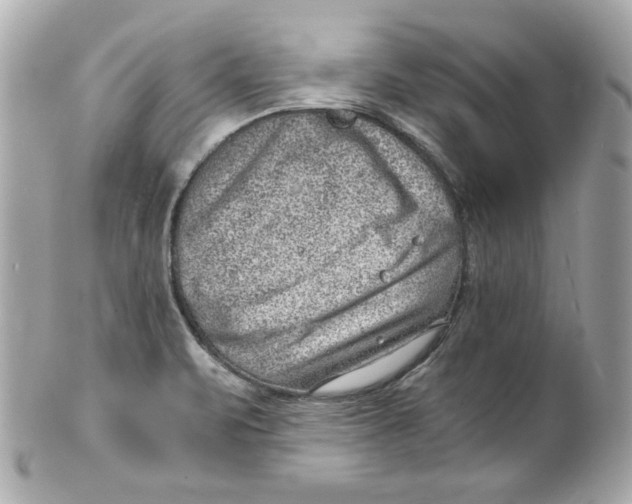 X0000101651471200807311402