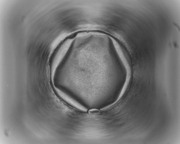 X0000101651472200807311402