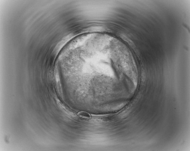 X0000101651473200807311402